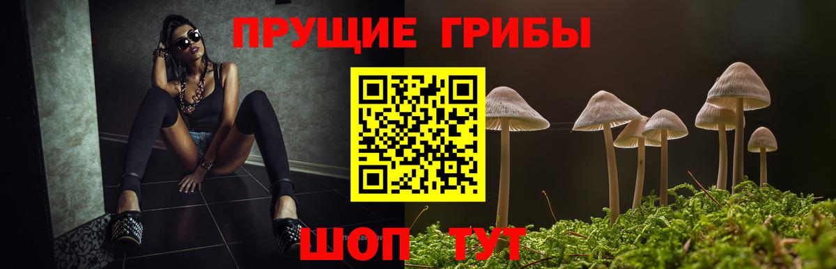Добрянка  Псилоцибиновые грибы Cubensis  как найти закладки  Вход с VPN  Псилоцибиновые грибы MAGIC MUSHROOMS 